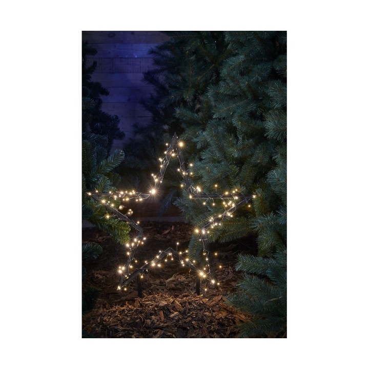 Carte postale microlorge