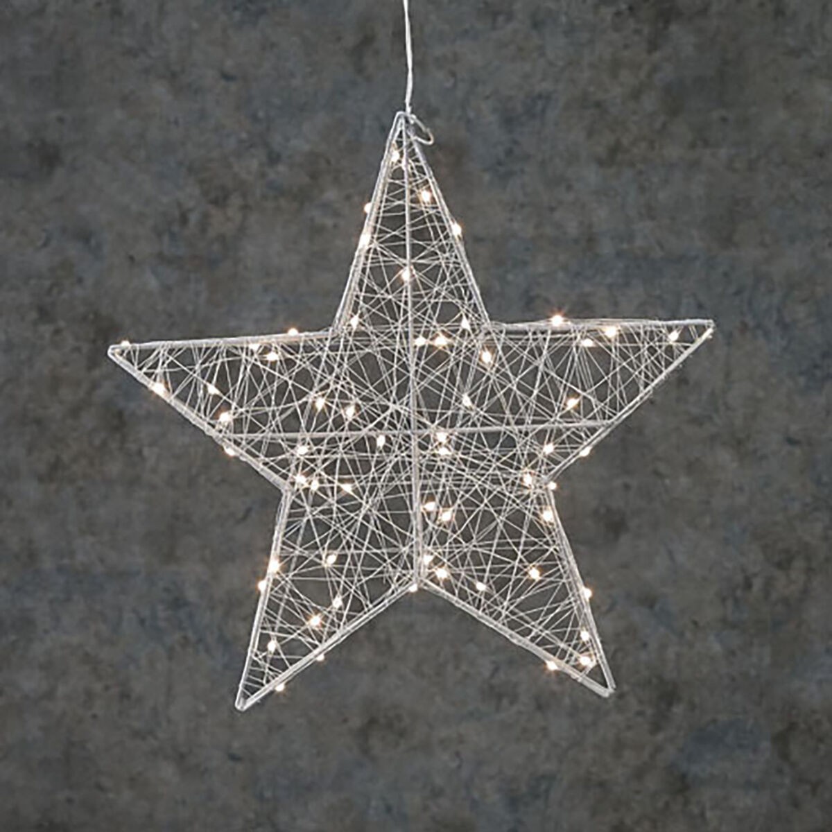 /339828/etoile-de-noel-black-box-vert-tendre.jpg