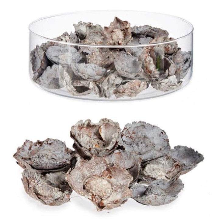 Carte postale microlorge