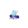 Vapeur jetable Lost Mary BM600 Blue Razz Ice