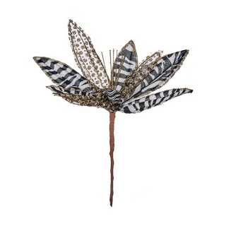 Carte postale microlorge