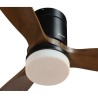 Ventilateur de Plafond avec Lumière Grunkel Marron Noir 55 W