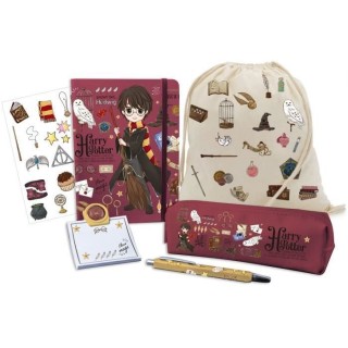 HARRY POTTER Mon set école des sorciers