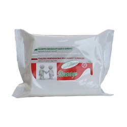 Lingettes Désinfectantes (16,5 x 12 x 3 cm) (20 uds)