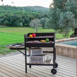 Roues de barbecue au charbon de bois DKD Home Decor RC-177308 113 x 51 x 97 cm Métal Acier (113 x 51 x 97 cm)