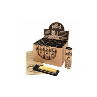 CLARKE Harmonica Diatonique 10 trous en DO