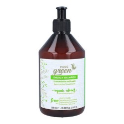 Shampooing Energy Pure Green