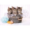 Clementoni - 180 pieces - Lovely Kittens