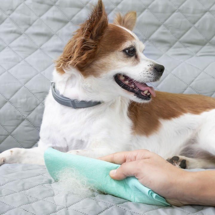 image imprimée ou numérique