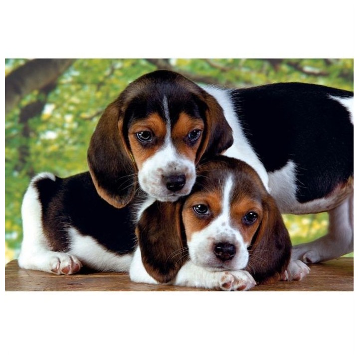 Clementoni - 500 pieces - Close Together