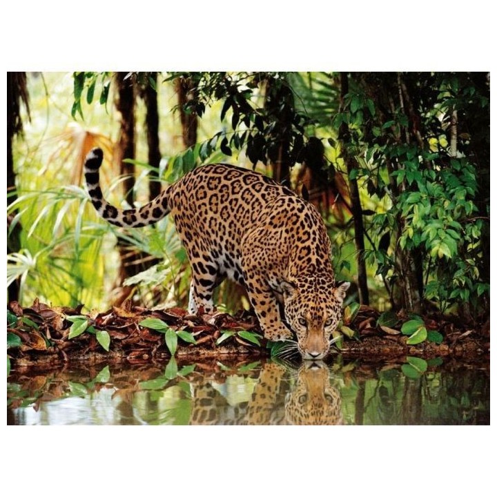 Clementoni - 2000 pieces - Léopard