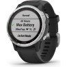 GARMIN fenix 6S Solar Montre connectée, Silver avec bracelet noir