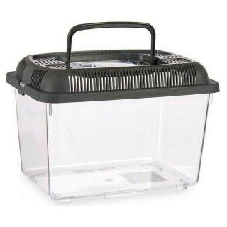 Carte postale microlorge