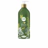 Shampooing réparateur Herbal Rechargeable Huile d'Argan (430 ml)