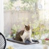 Hamac Suspendu pour Chats Catlax InnovaGoods