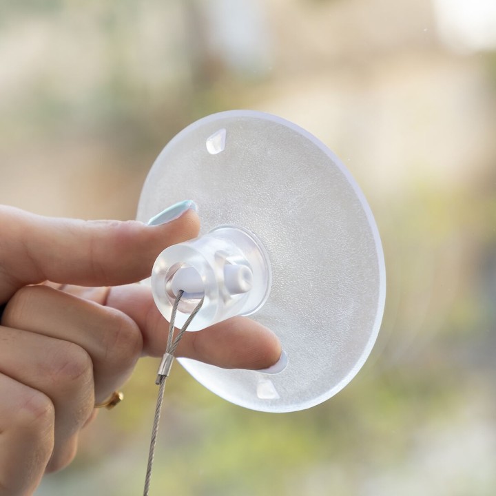 Carte postale microlorge