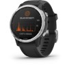 GARMIN fenix 6S Solar Montre connectée, Silver avec bracelet noir