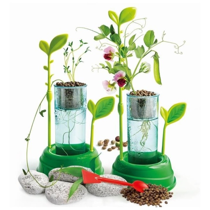 Clementoni - Science & Jeu - Botanique et hydroponie