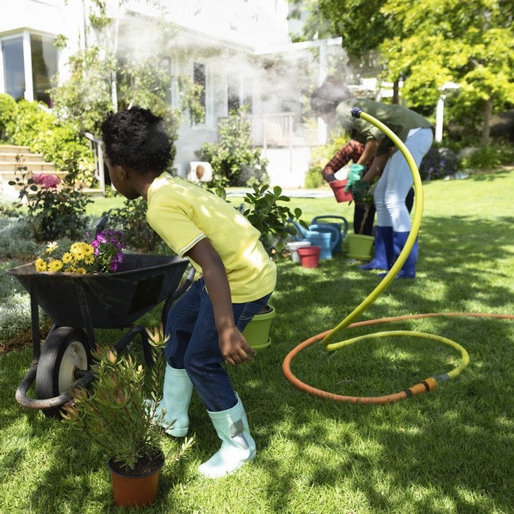 Carte postale microlorge