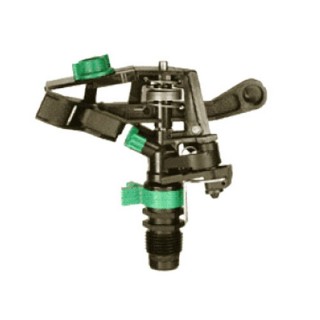 Carte postale microlorge