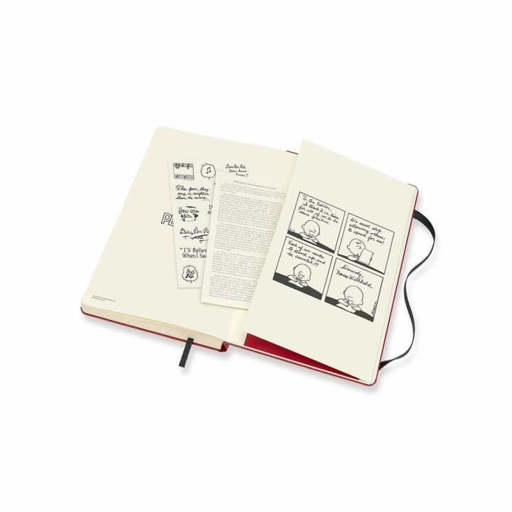 Carte postale microlorge