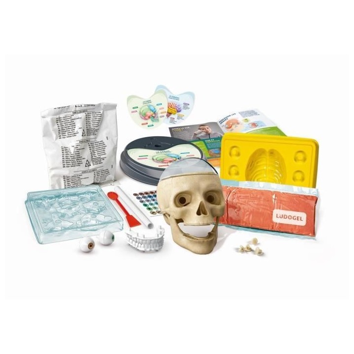 Clementoni - Science & Jeu - Découvertes anatomiques