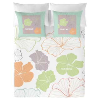 Carte postale microlorge