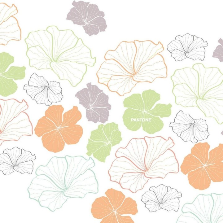 Carte postale microlorge