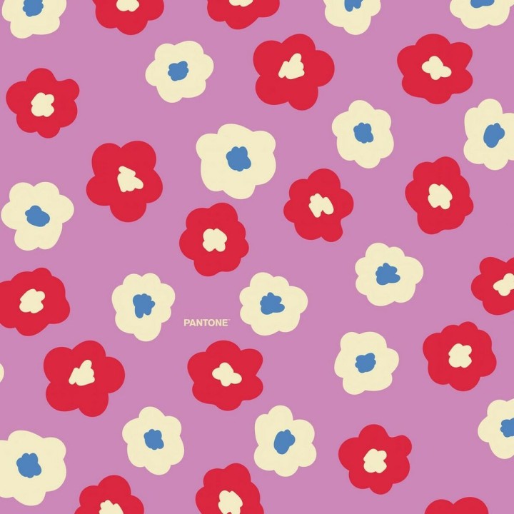 Carte postale microlorge