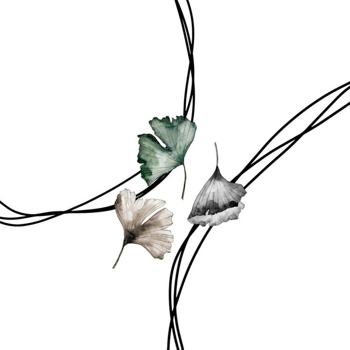 Carte postale microlorge