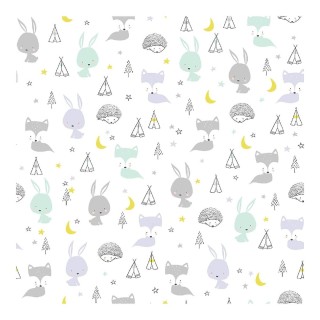 Carte postale microlorge