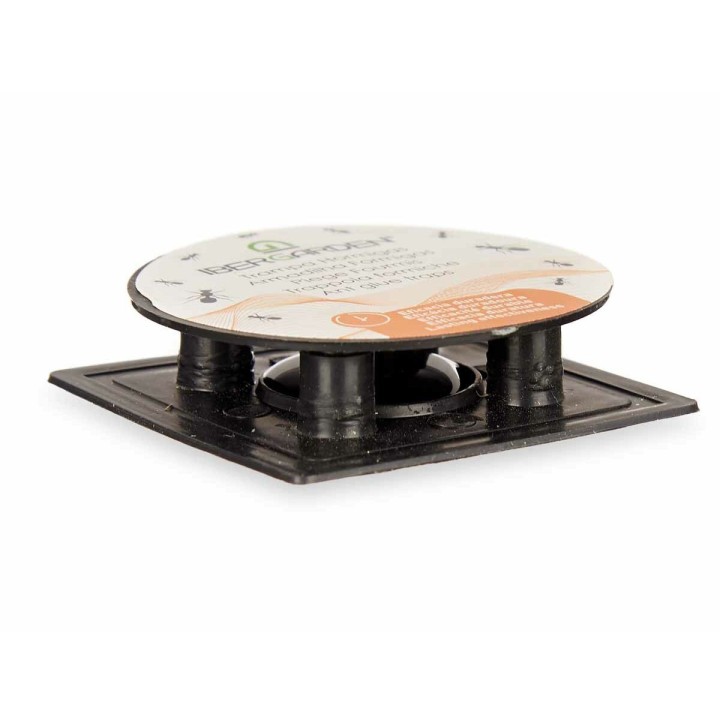 image imprimée ou numérique