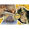 Puzzle Clementoni - National Geographic Kids - 104 pieces - Sauvage