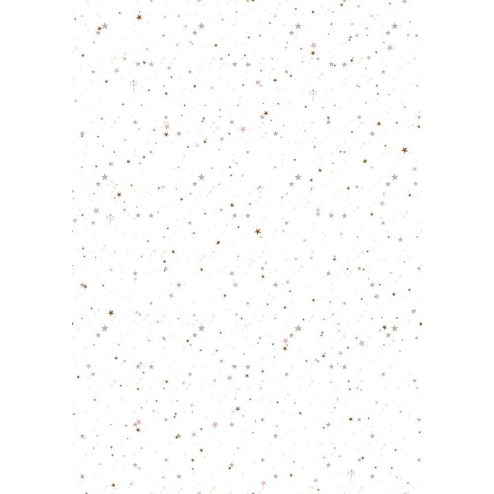 Carte postale microlorge