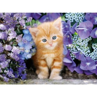 Clementoni - 500 pieces - Ginger cat in flowers