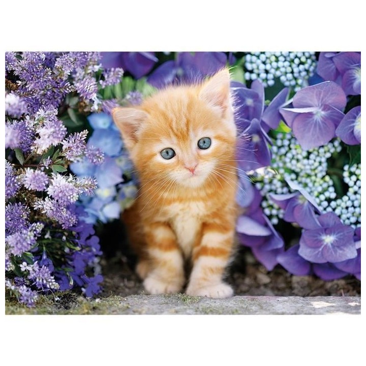 Clementoni - 500 pieces - Ginger cat in flowers