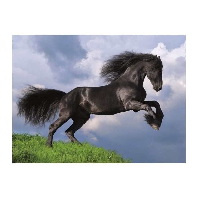 Clementoni - 500 pieces - Fresian black horse