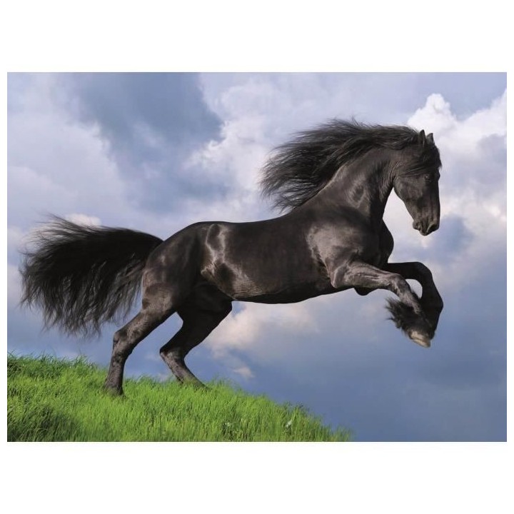 Clementoni - 500 pieces - Fresian black horse