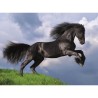 Clementoni - 500 pieces - Fresian black horse