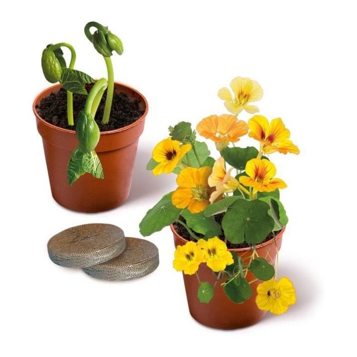 Clementoni - Science & Jeu - Le grand coffret du scientifique