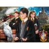 Clementoni - Harry Potter - Valisette 1000 pieces