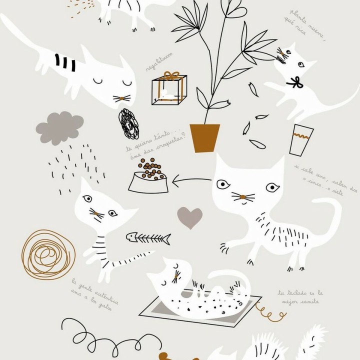 Carte postale microlorge