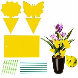 Carte postale microlorge