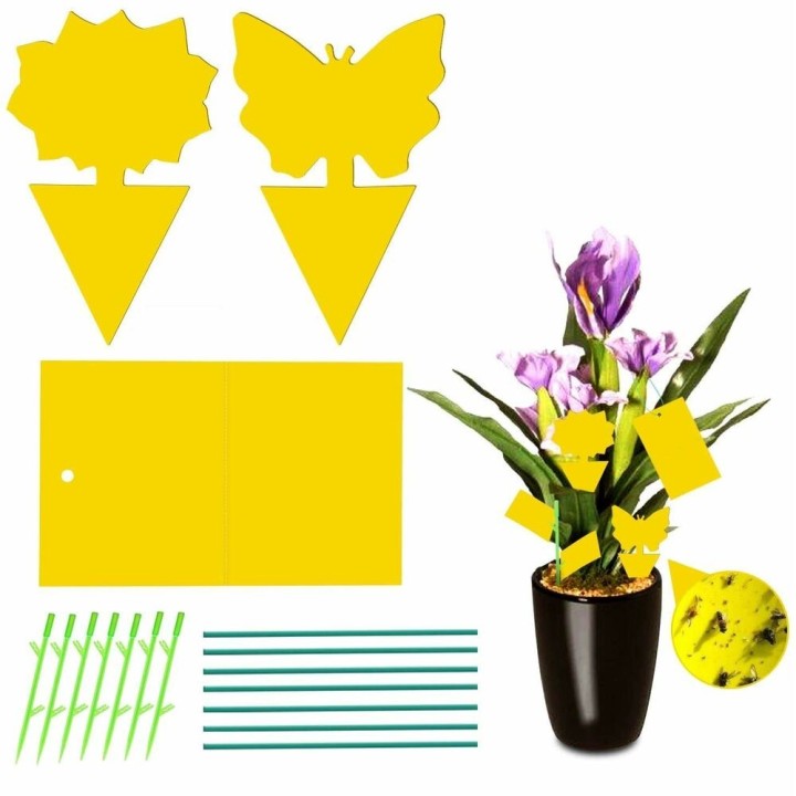 Carte postale microlorge