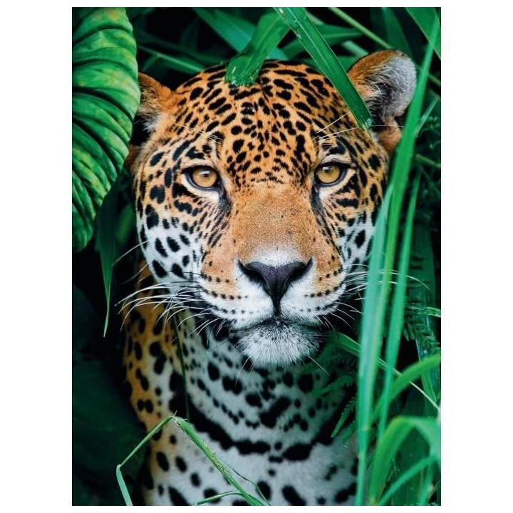 CLEMENTONI - 35127 - 500p Jaguar in the jungle