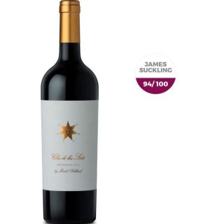 Clos de los Siete 2019 Mendoza - Vin rouge d'Argentine