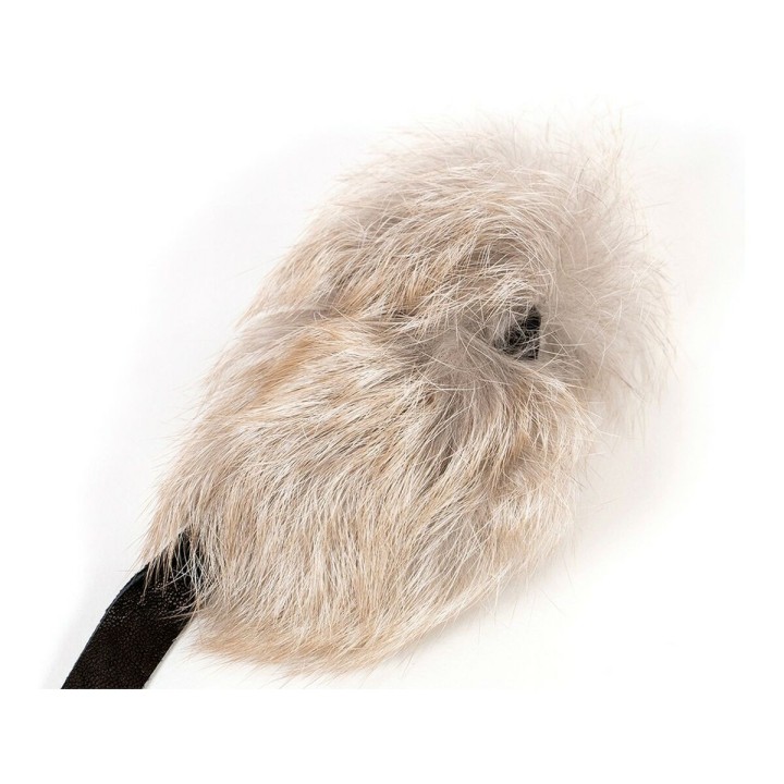 Carte postale microlorge