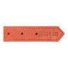 Collier pour Chien Gloria Oasis Rouge (1,5 x 40 cm)