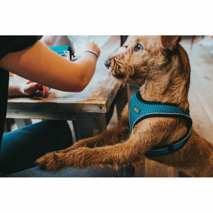 image imprimée ou numérique