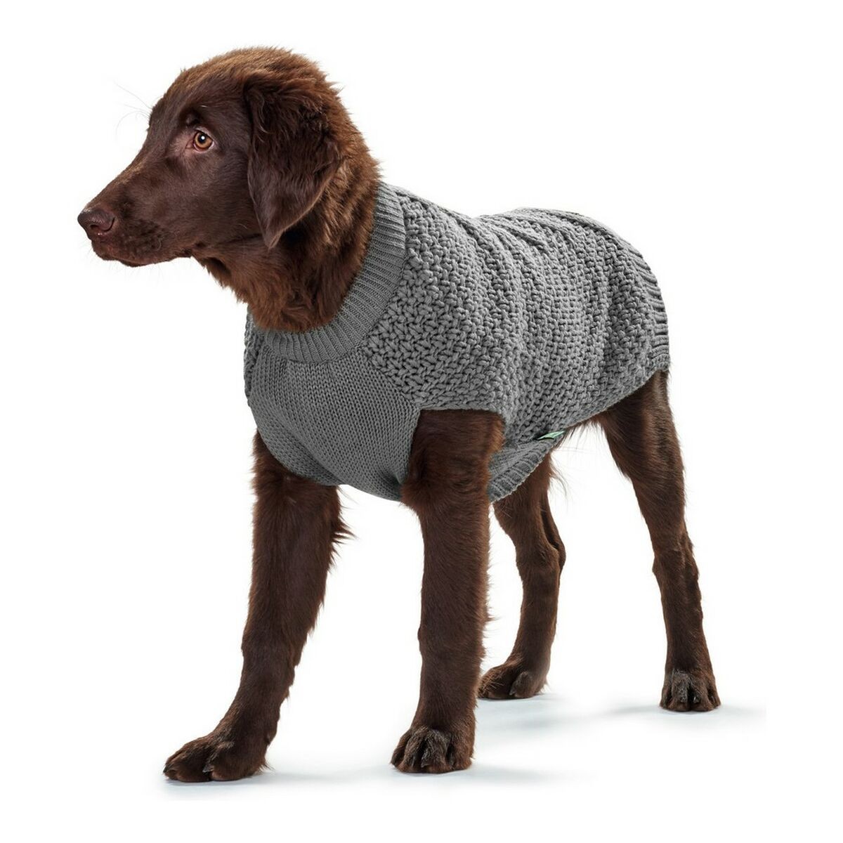 /358783/pull-pour-chien-hunter-malmoe.jpg